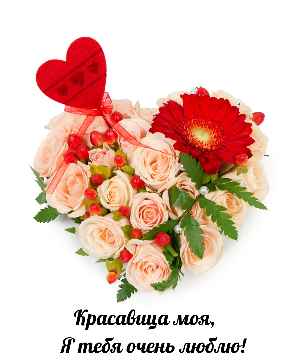 Красавица моя, я тебя очень люблю!
