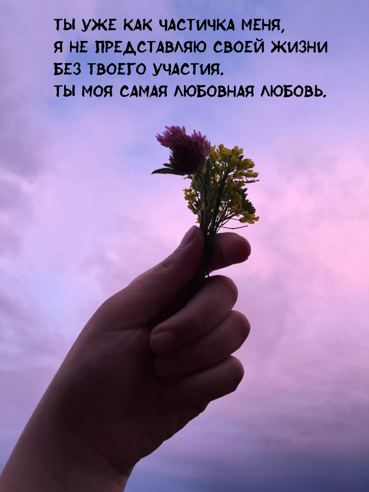 Ты уже как частичка меня, я не представляю своей жизни