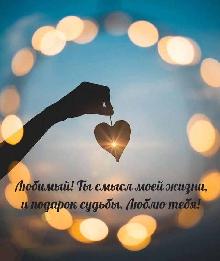 Любимый! Ты смысл моей жизни, и подарок судьбы. Люблю тебя!