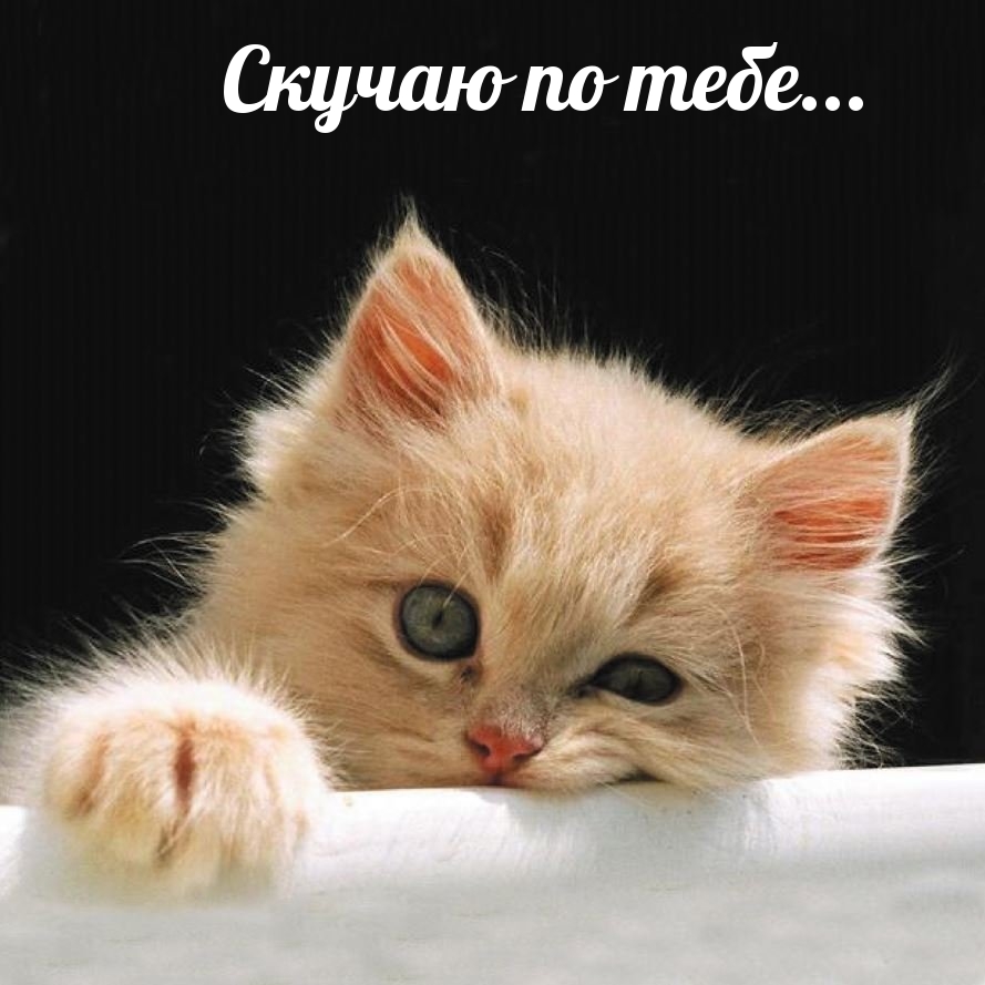 Скучаю по тебе…