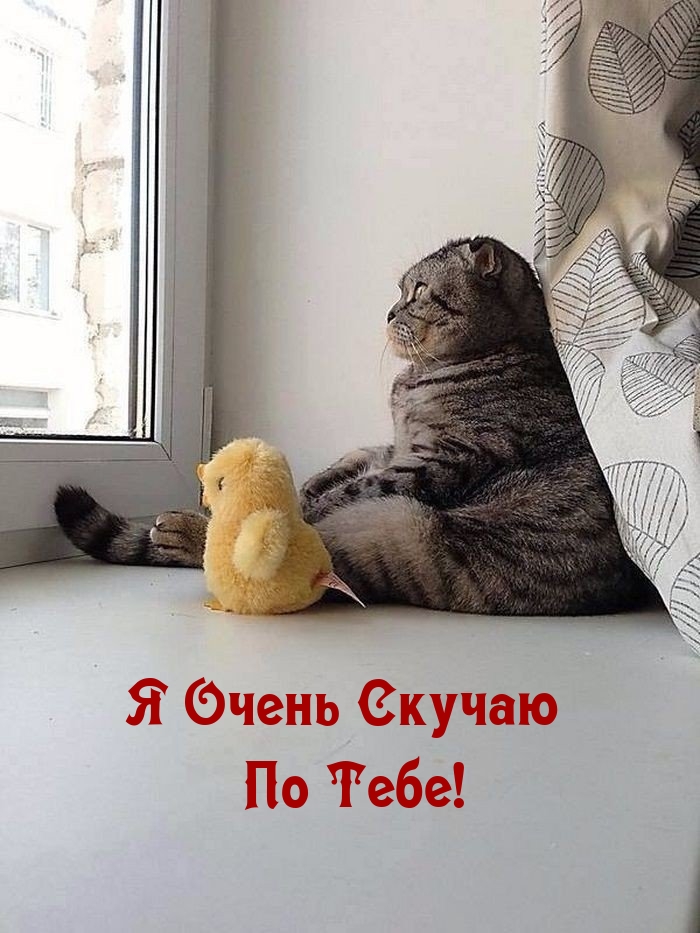 Я Очень Скучаю По Тебе!