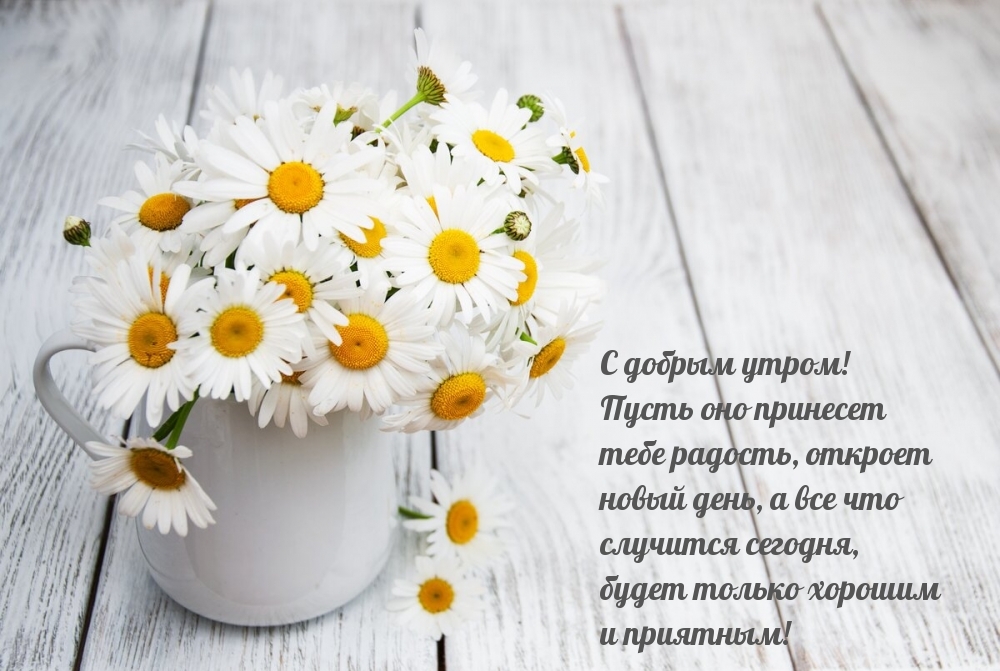 С добрым утром! Пусть оно принесет тебе радость