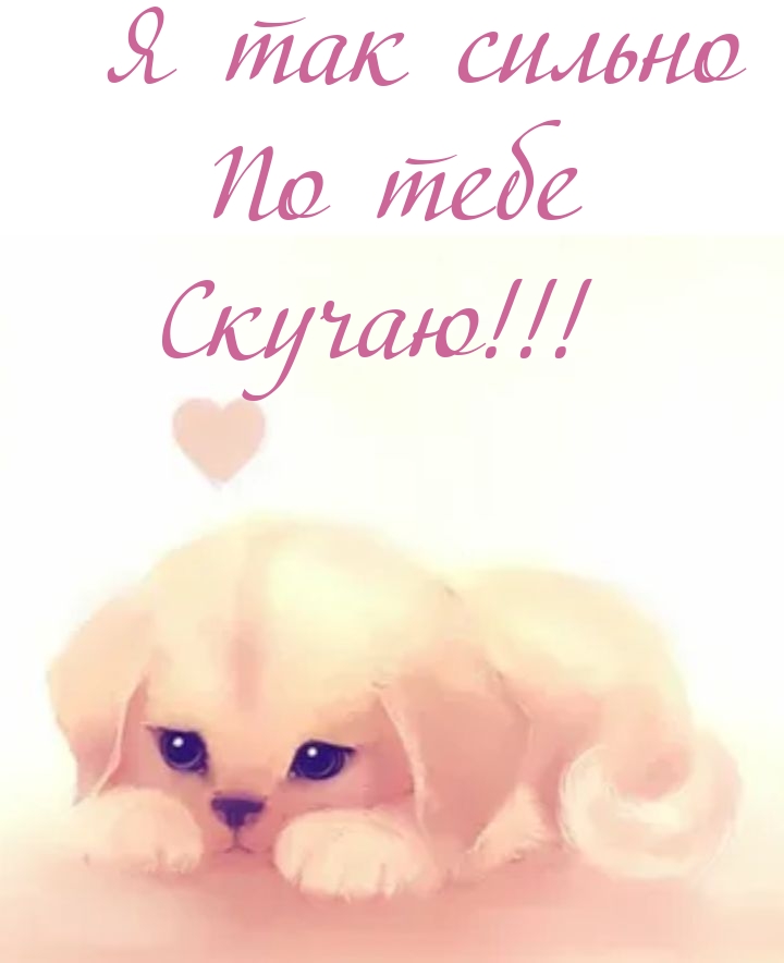 Я так сильно по тебе скучаю!