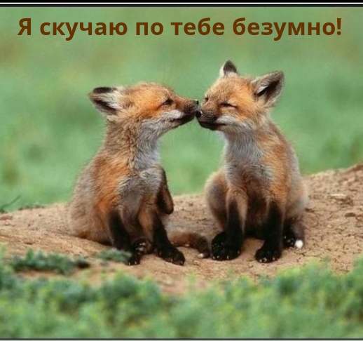 Я скучаю по тебе безумно!