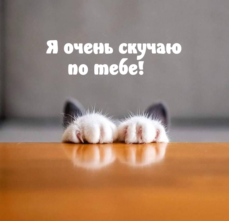 Я очень скучаю по тебе!