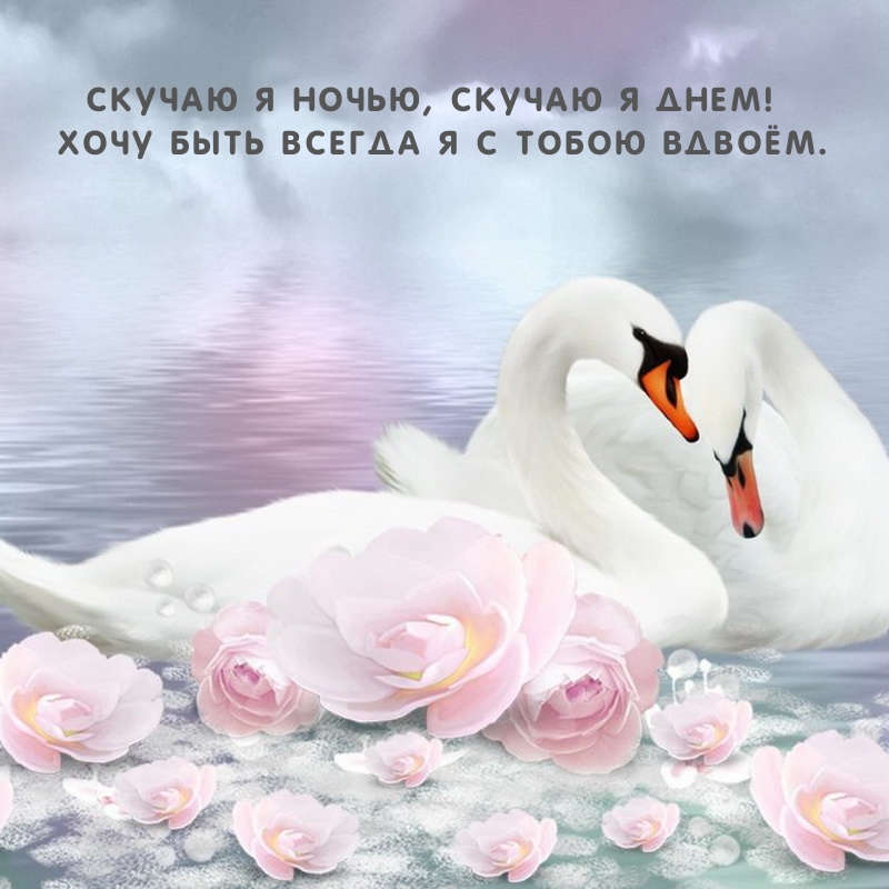 Скучаю я ночью, скучаю я днем! Хочу быть всегда я с тобою вдвоём.