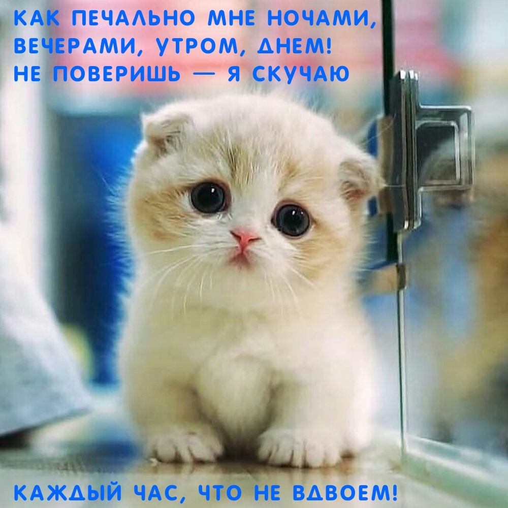 Как печально мне ночами, вечерами, утром, днем!