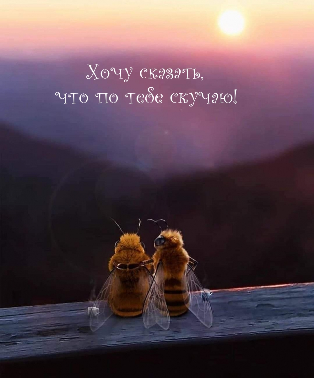 Хочу сказать, что по тебе скучаю!