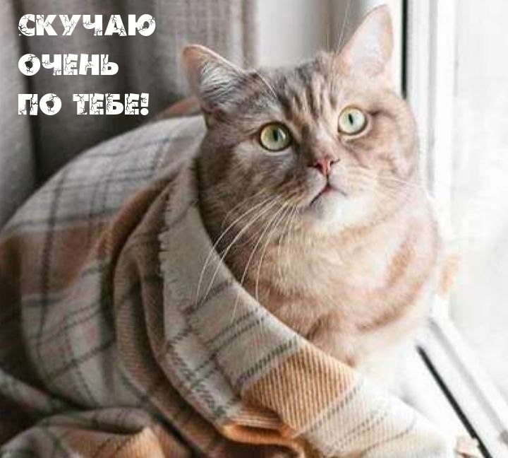 Скучаю очень по тебе!