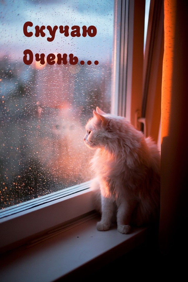 Скучаю Очень…