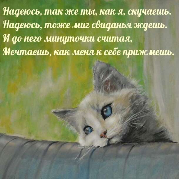Надеюсь, так же ты, как я, скучаешь.