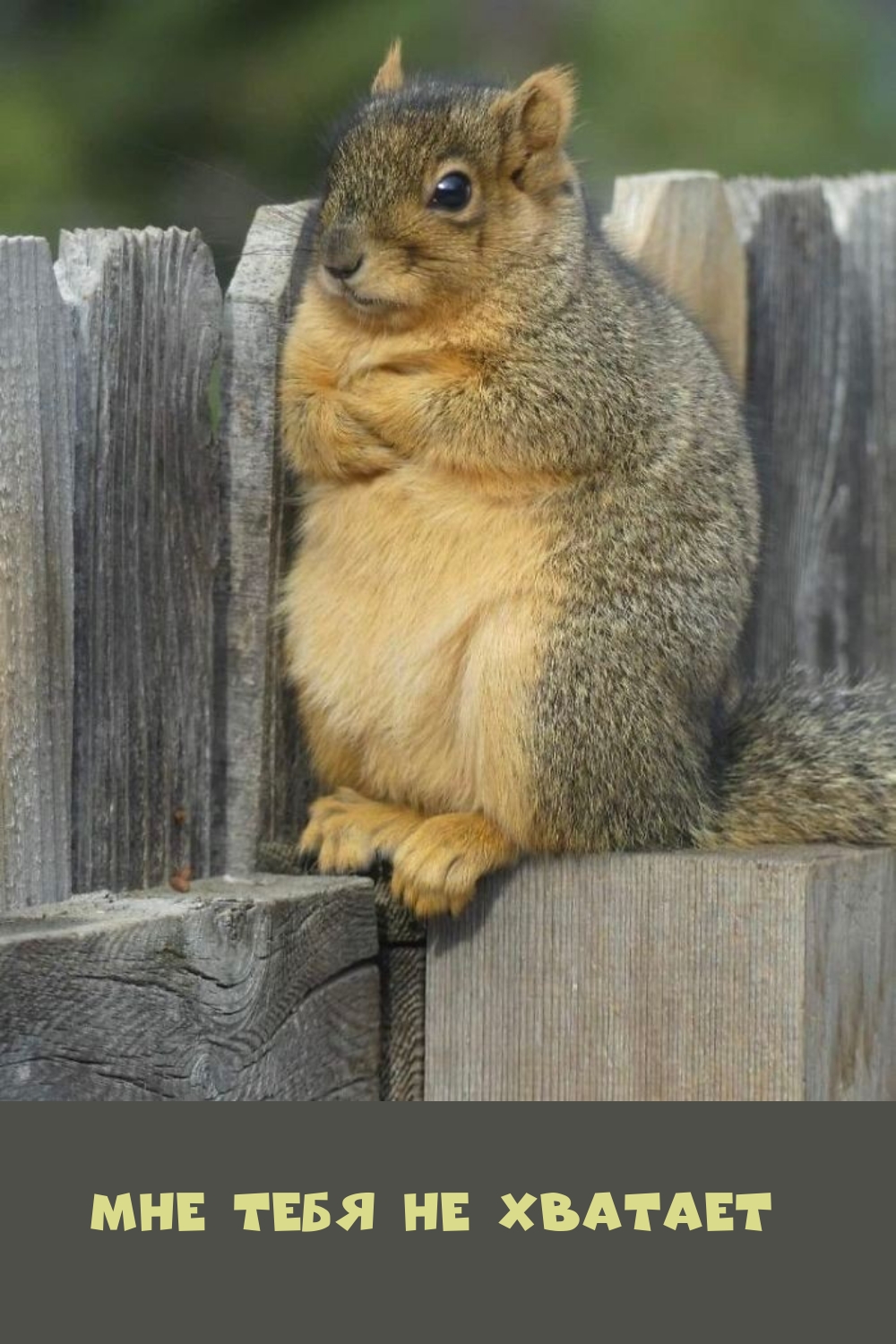 Мне тебя не хватает