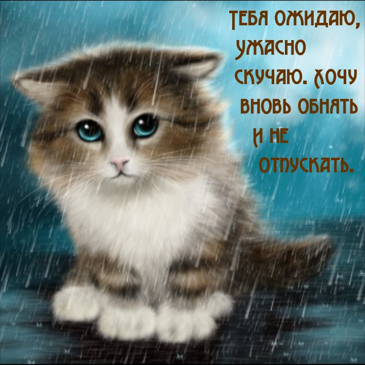 Тебя ожидаю, ужасно скучаю. Хочу вновь обнять и не отпускать.