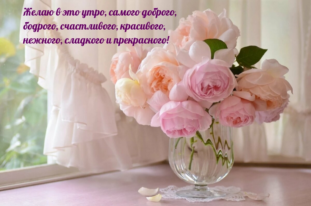 Желаю в это утро, самого доброго!