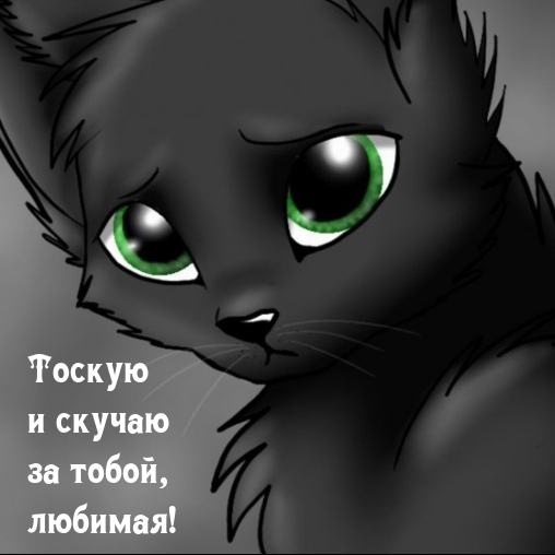 Тоскую и скучаю за тобой, любимая!