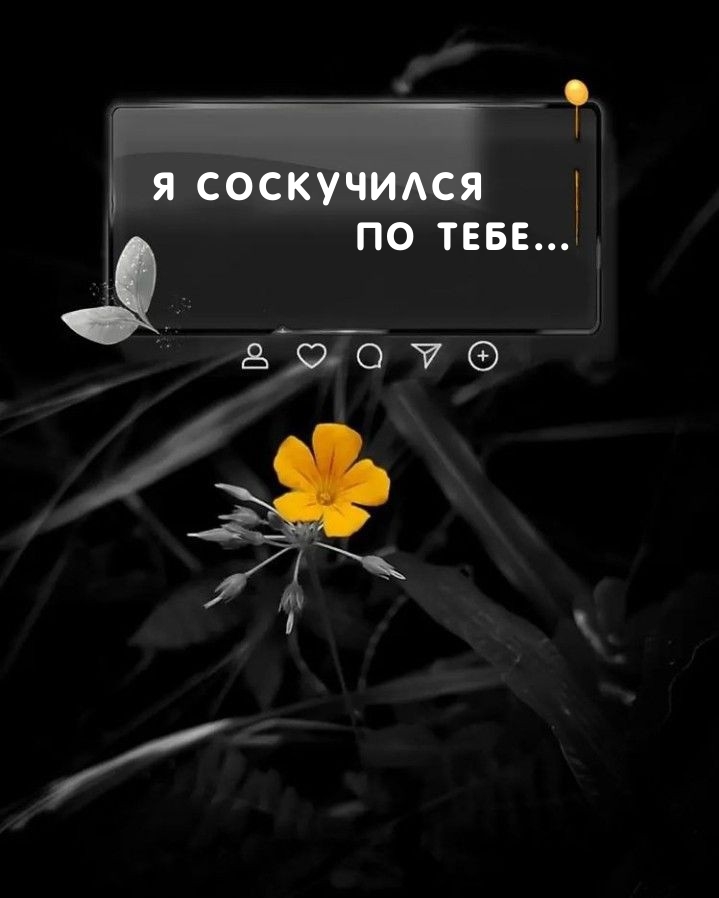 Я соскучился по тебе…