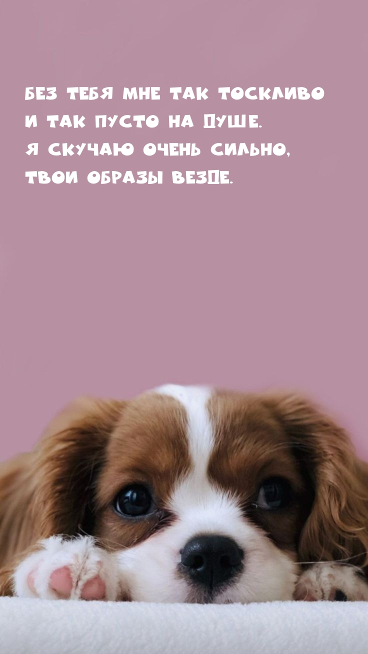 Без тебя мне так тоскливо и так пусто на душе.