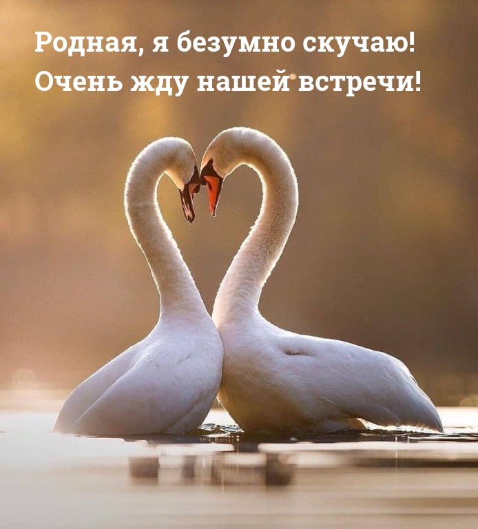 Родная, я безумно скучаю! Очень жду нашей встречи!
