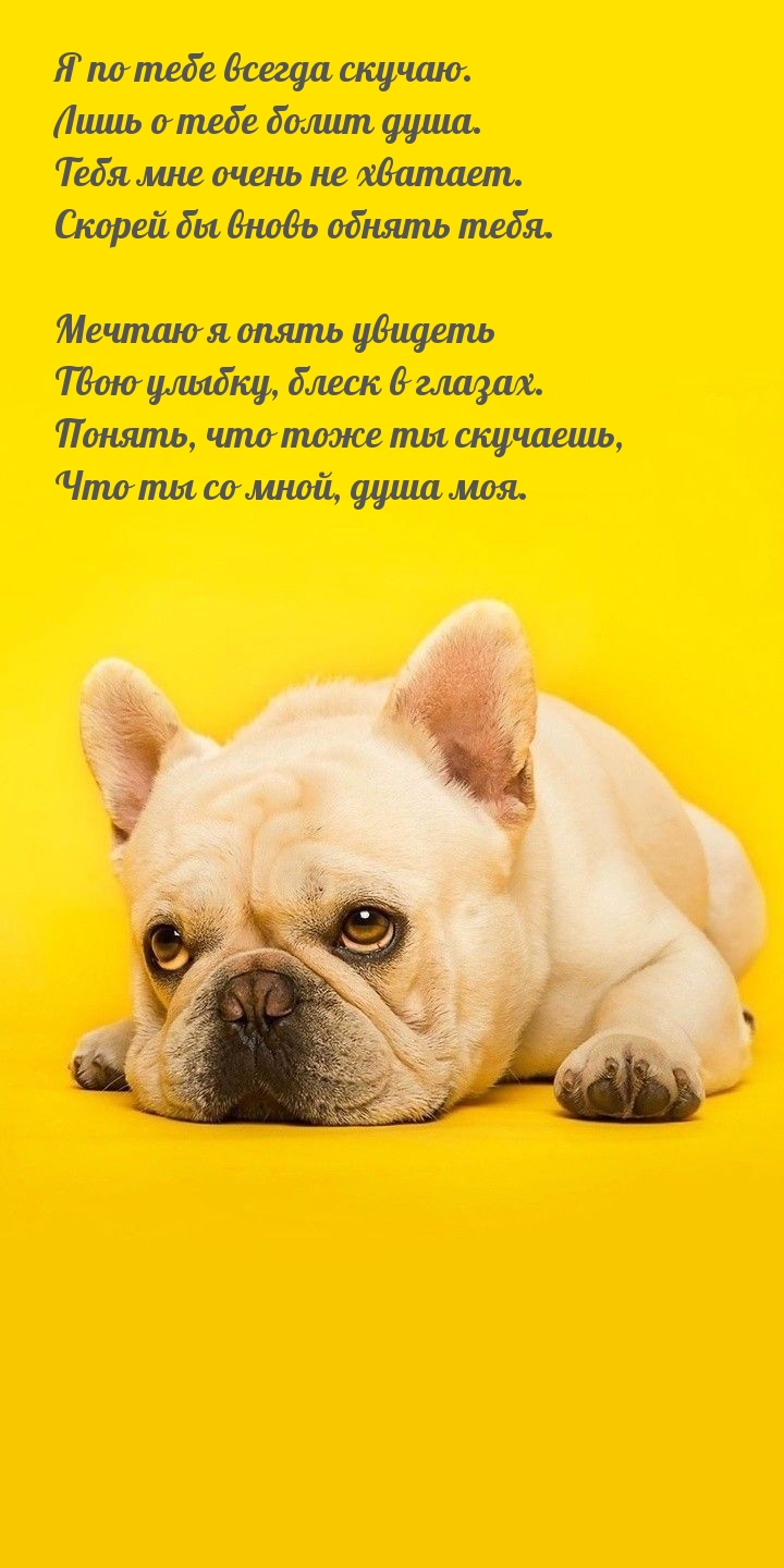 Я по тебе всегда скучаю. Лишь о тебе болит душа.