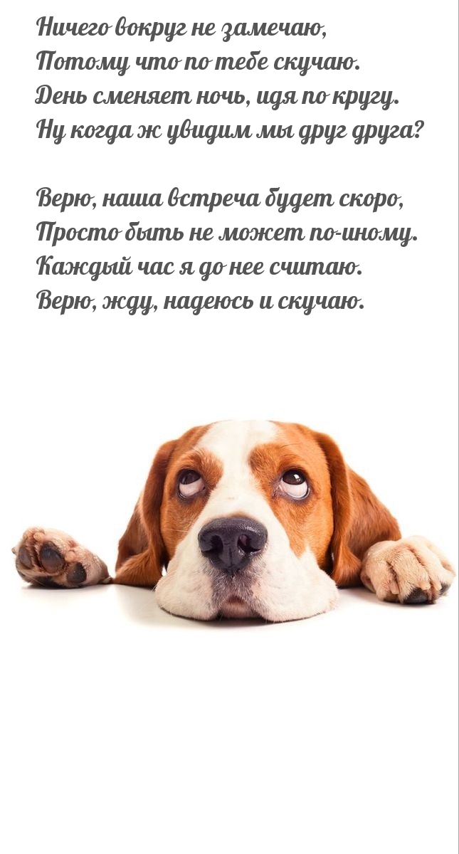 Ничего вокруг не замечаю, Потому что по тебе скучаю.