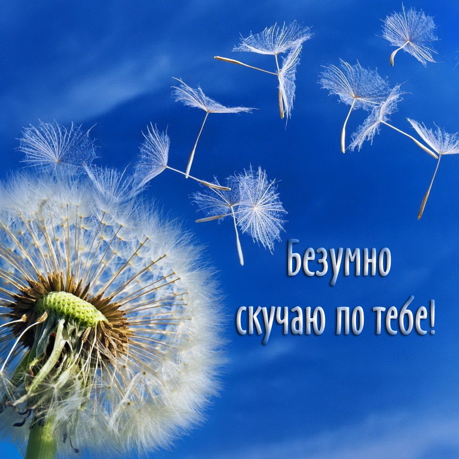 Безумно скучаю по тебе!