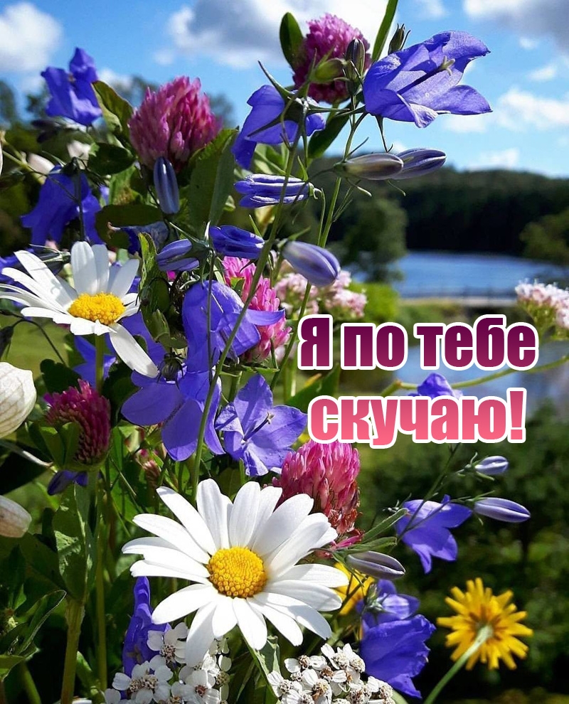 Я по тебе скучаю!
