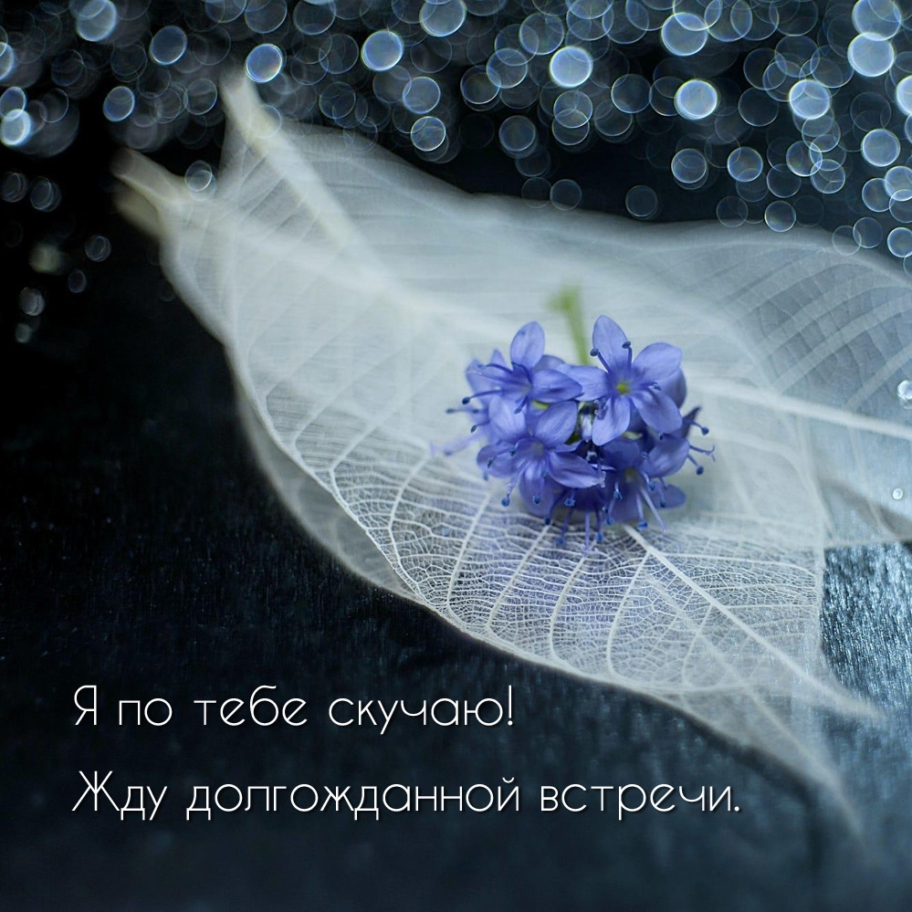 Я по тебе скучаю! Жду долгожданной встречи.
