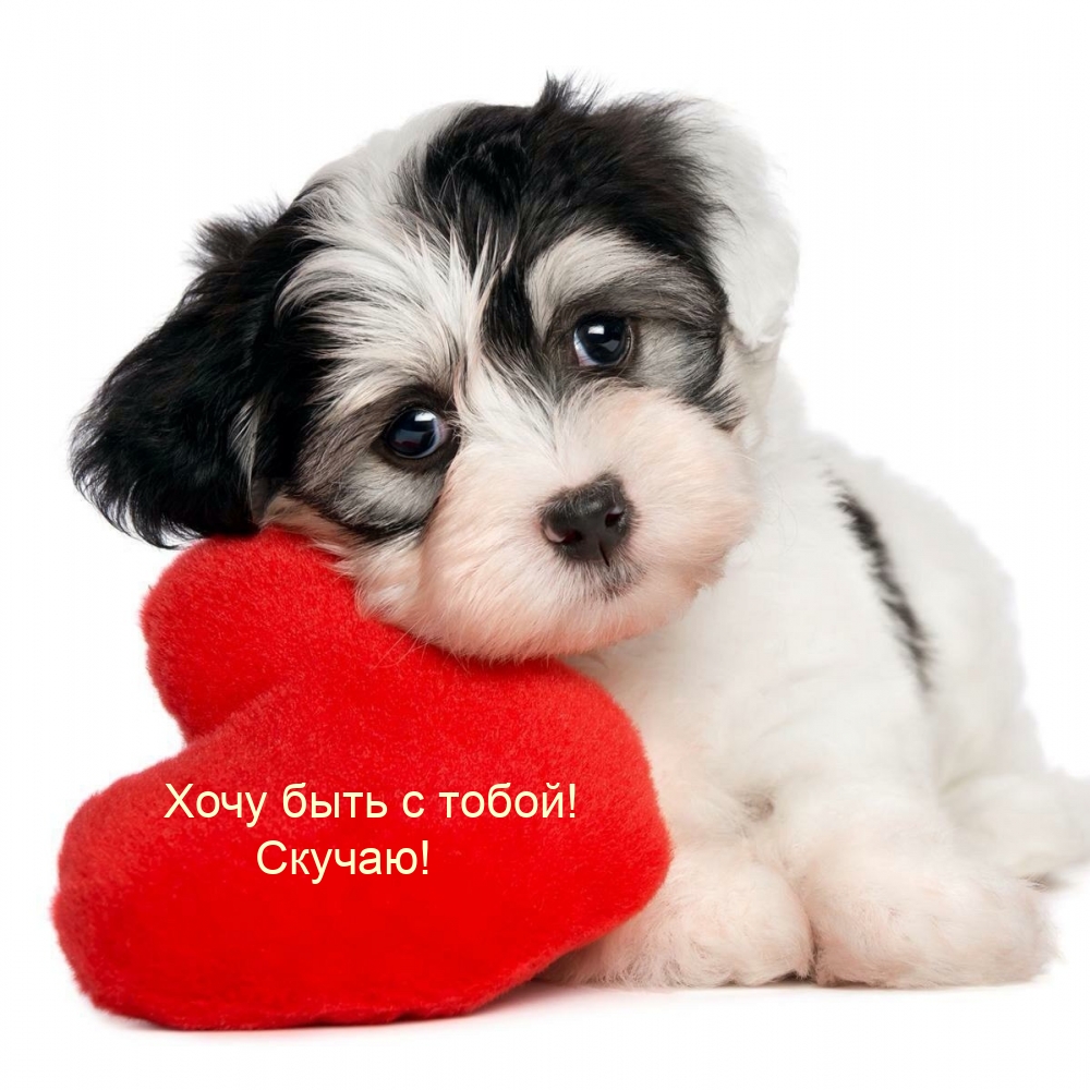 Хочу быть с тобой! Скучаю!
