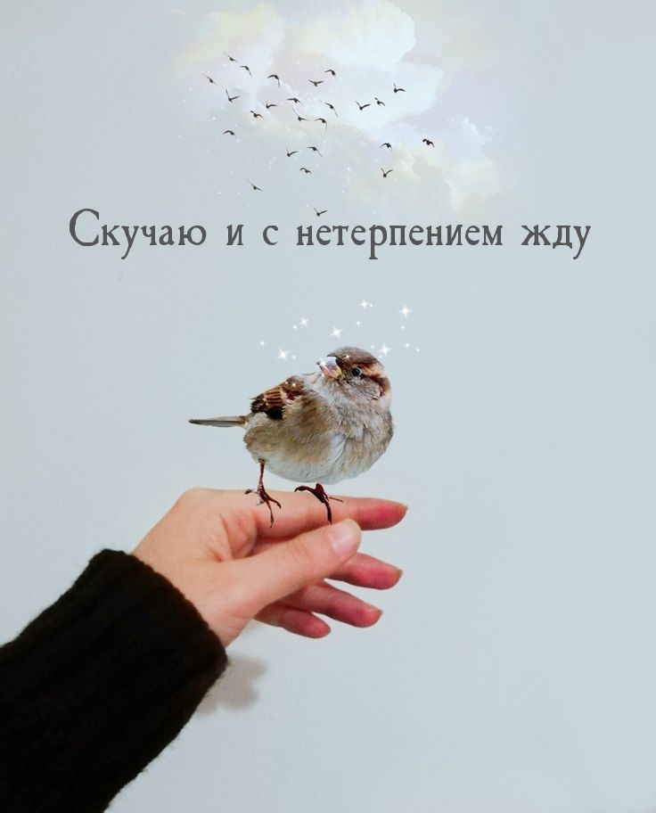 Скучаю и с нетерпением жду