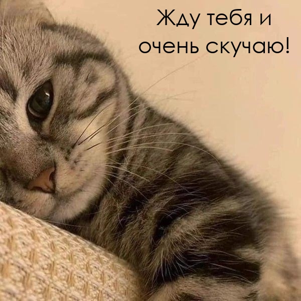 Жду тебя и очень скучаю!