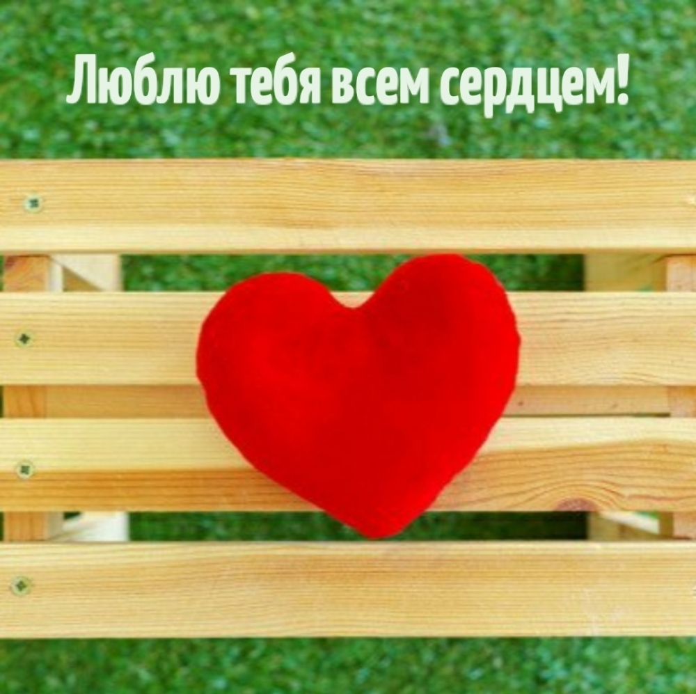 Люблю тебя всем сердцем!
