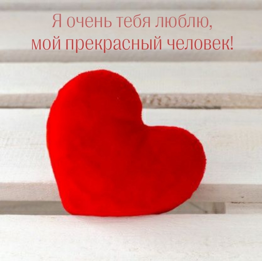 Я очень тебя люблю, мой прекрасный человек!