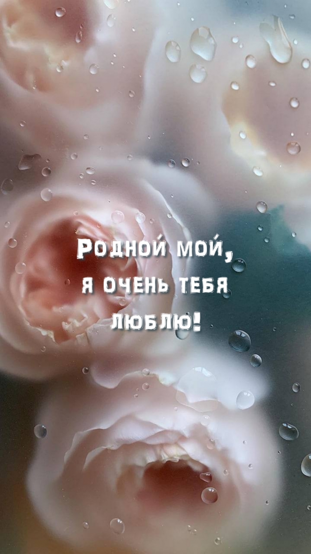 Картинка - Родной мой, я очень тебя люблю!.