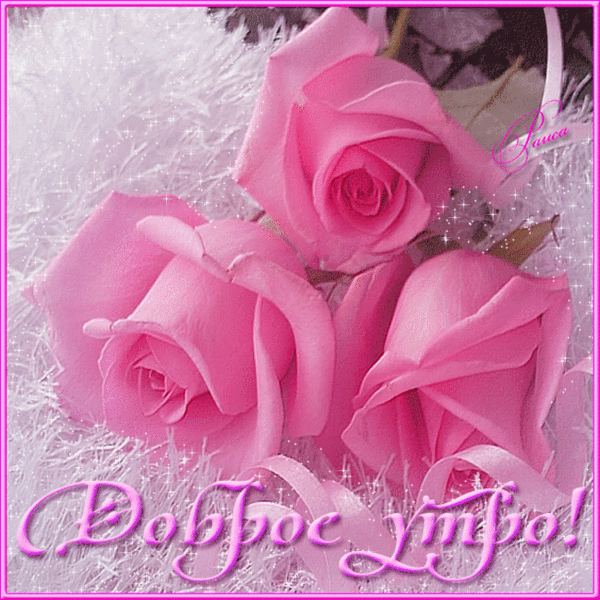 Доброе утро!