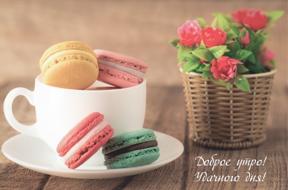 Доброе утро! Удачного дня!