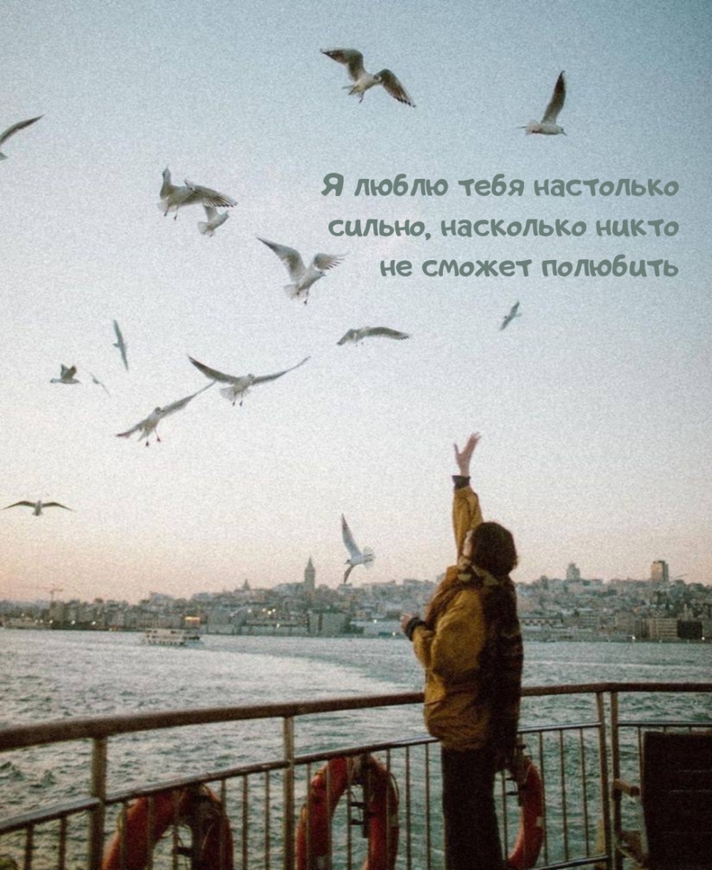 Я люблю тебя настолько сильно, насколько никто не сможет полюбить