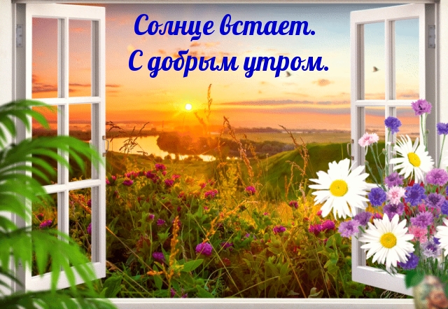 Солнце встает. С добрым утром.