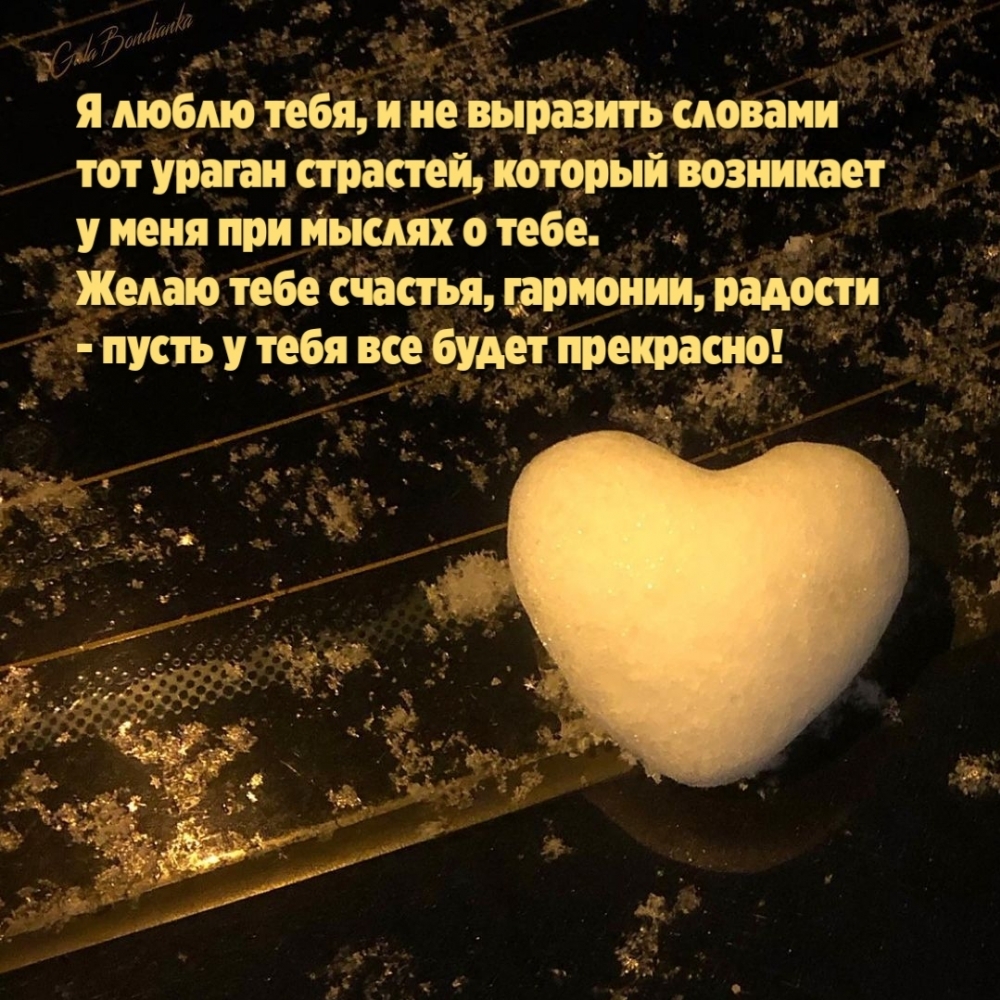 Я люблю тебя, и не выразить словами тот ураган страстей