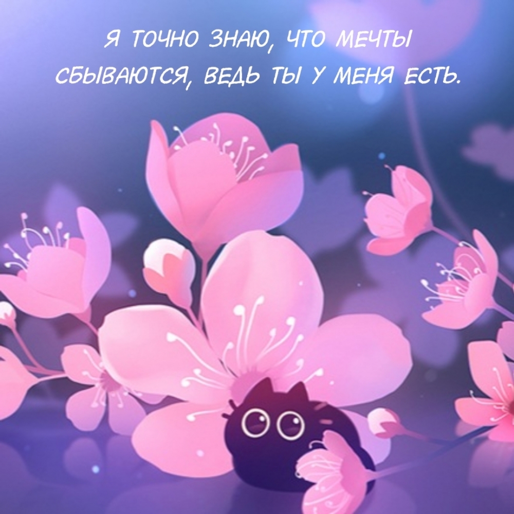 Я точно знаю, что мечты сбываются, ведь ты у меня есть.