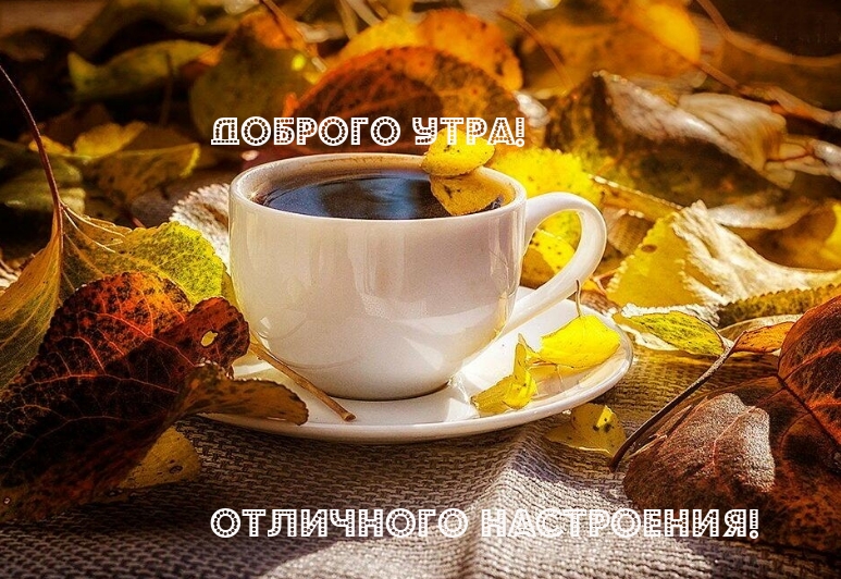 Доброго утра! Отличного настроения!
