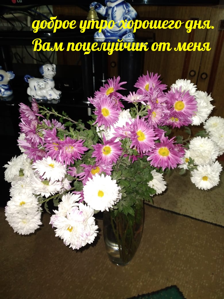 доброе утро хорошего дня. Вам поцелуйчик от меня