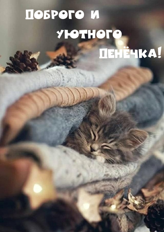 Доброго и уютного денёчка!