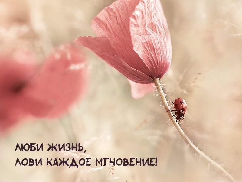 Люби жизнь, лови каждое мгновение!