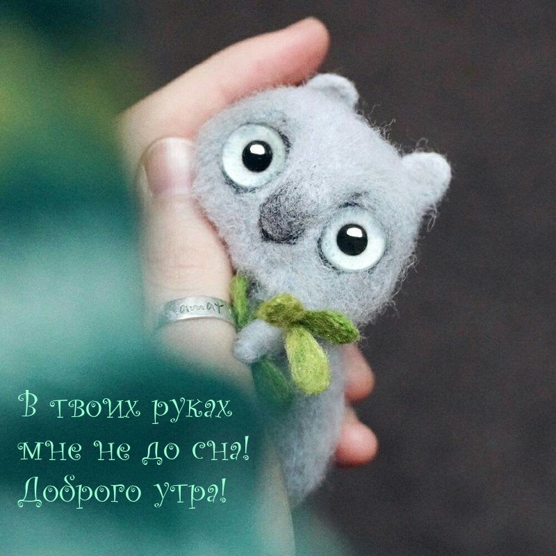 В твоих руках мне не до сна! Доброго утра!