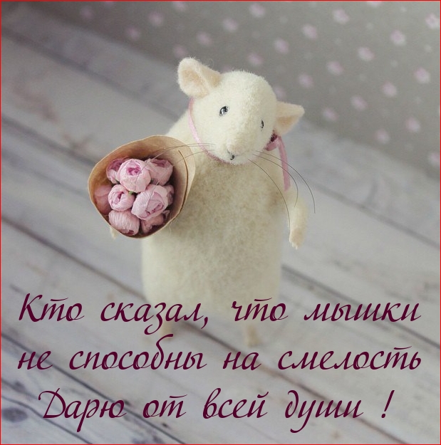 Кто сказал, что мышки не способны на смелость?