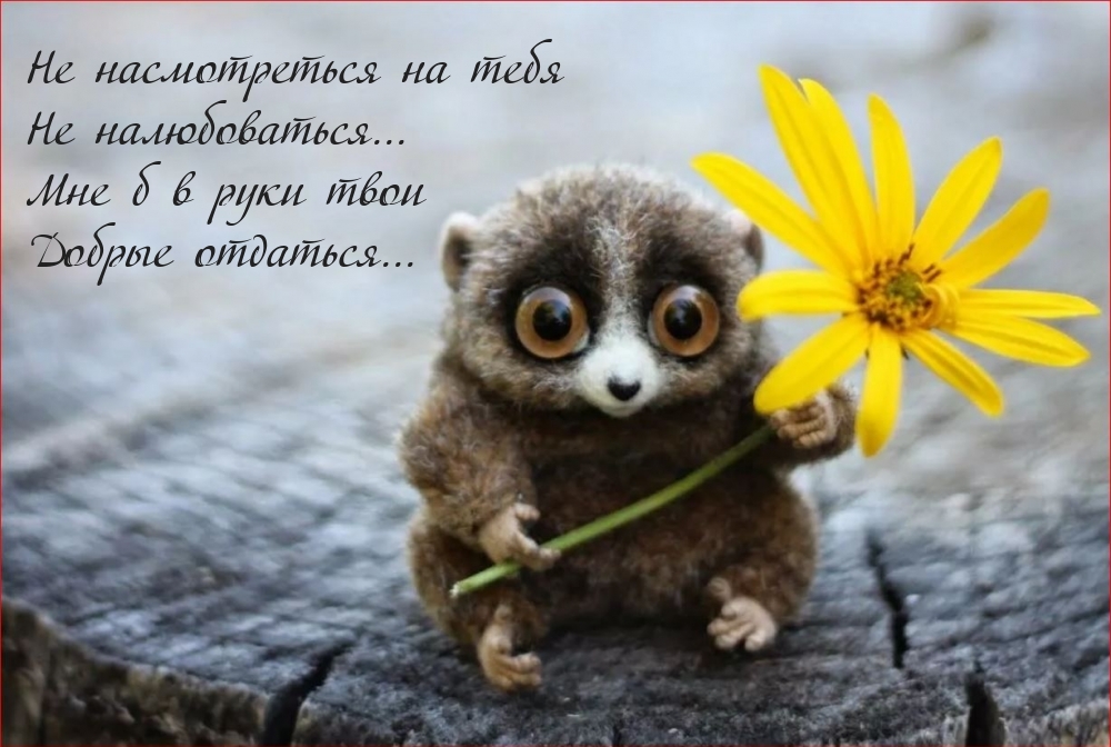 Не насмотреться на тебя не налюбоваться…