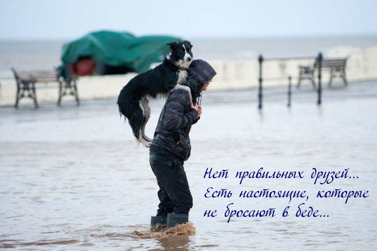 Нет правильных друзей… Есть настоящие, которые не бросают в беде…