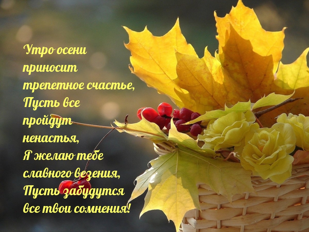 Утро осени приносит трепетное счастье