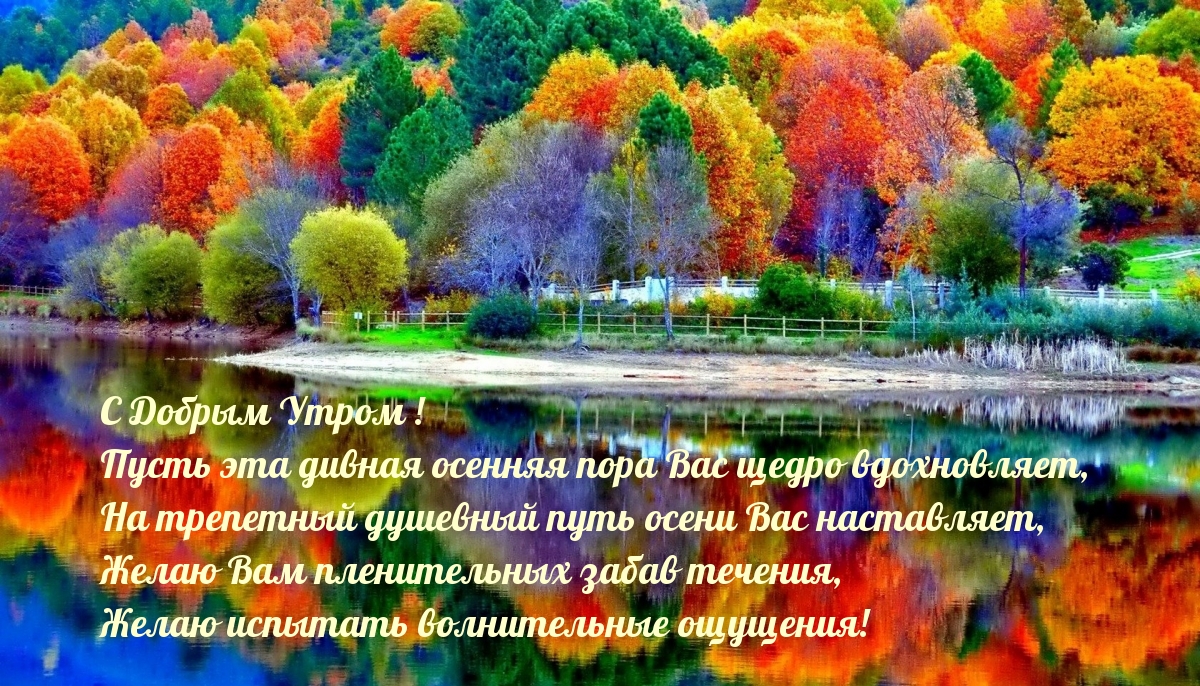 С Добрым Утром! Пусть эта дивная осенняя пора щедро вдохновляет