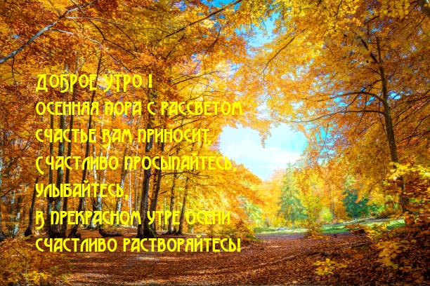 Осенняя пора с рассветом счастье Вам приносит